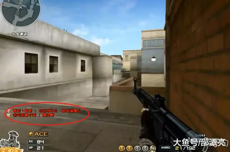 输掉世界赛心有不甘，HLE官宣换教练